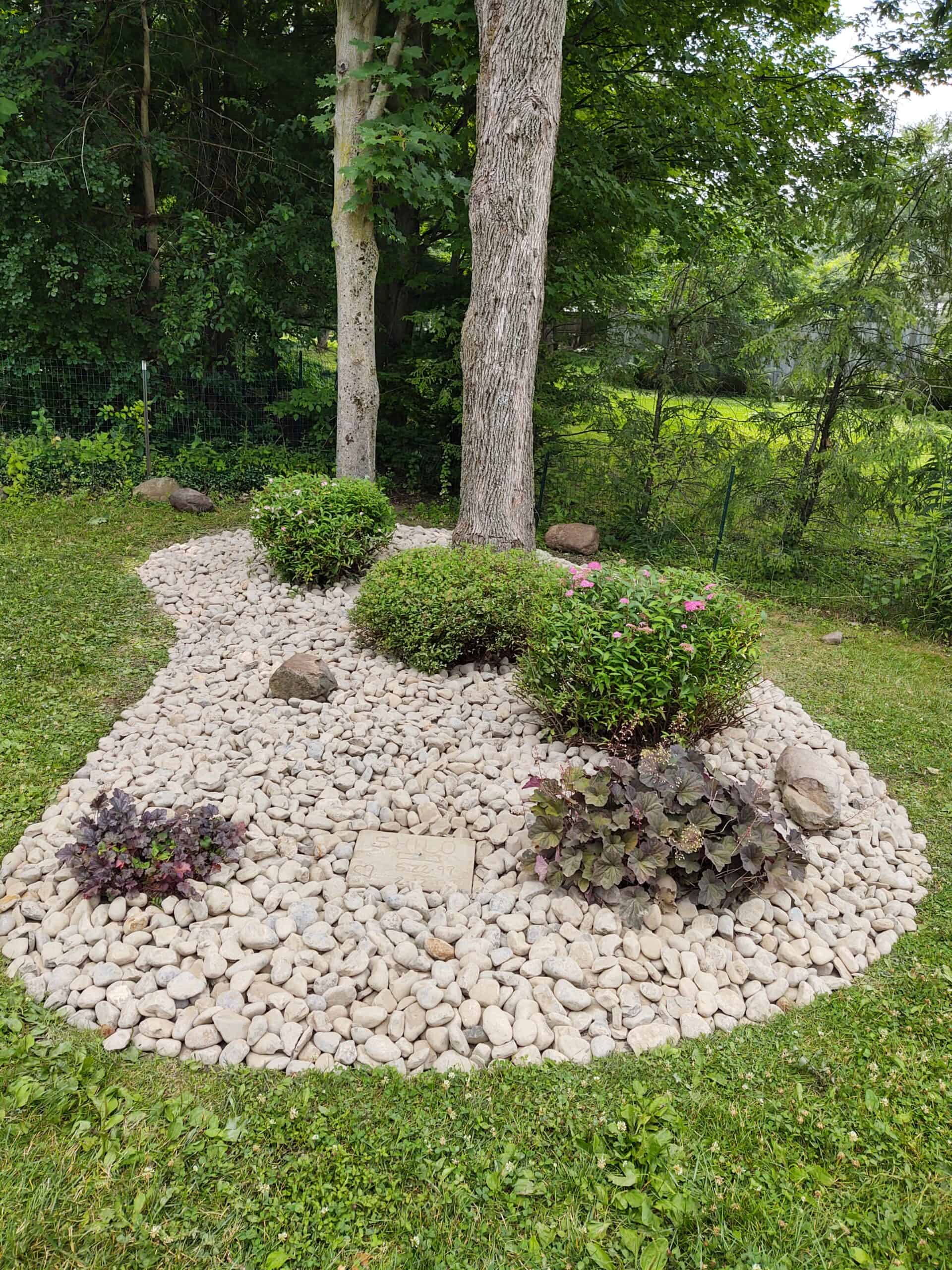 Unlock the full potential of your outdoor space with expert landscaping. Explore personalized designs, zones, and benefits of professional landscaping with Newman Landscaping.
