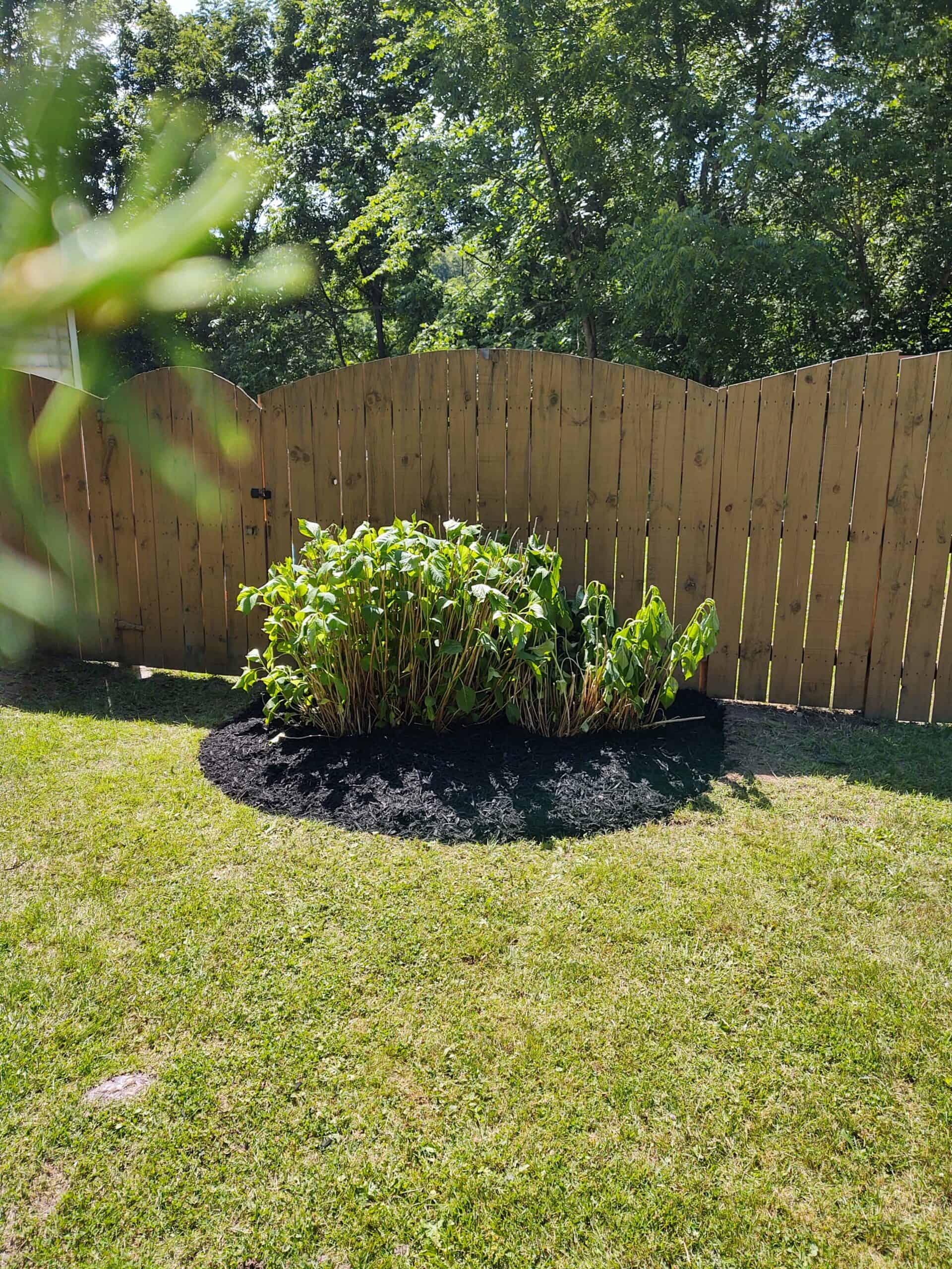 48989 scaled - Newman Landscaping & Sealcoating LLC