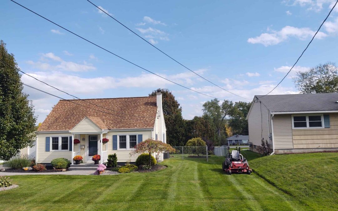 Leaf Removal 101: Tackling Fall Cleanup with Ease