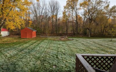 newman landscaping and sealcoating service areas german flatts landscaping - Newman Landscaping & Excavating Essential Lawn Care Advice | Is it Snow Mold Or Salt Damage?