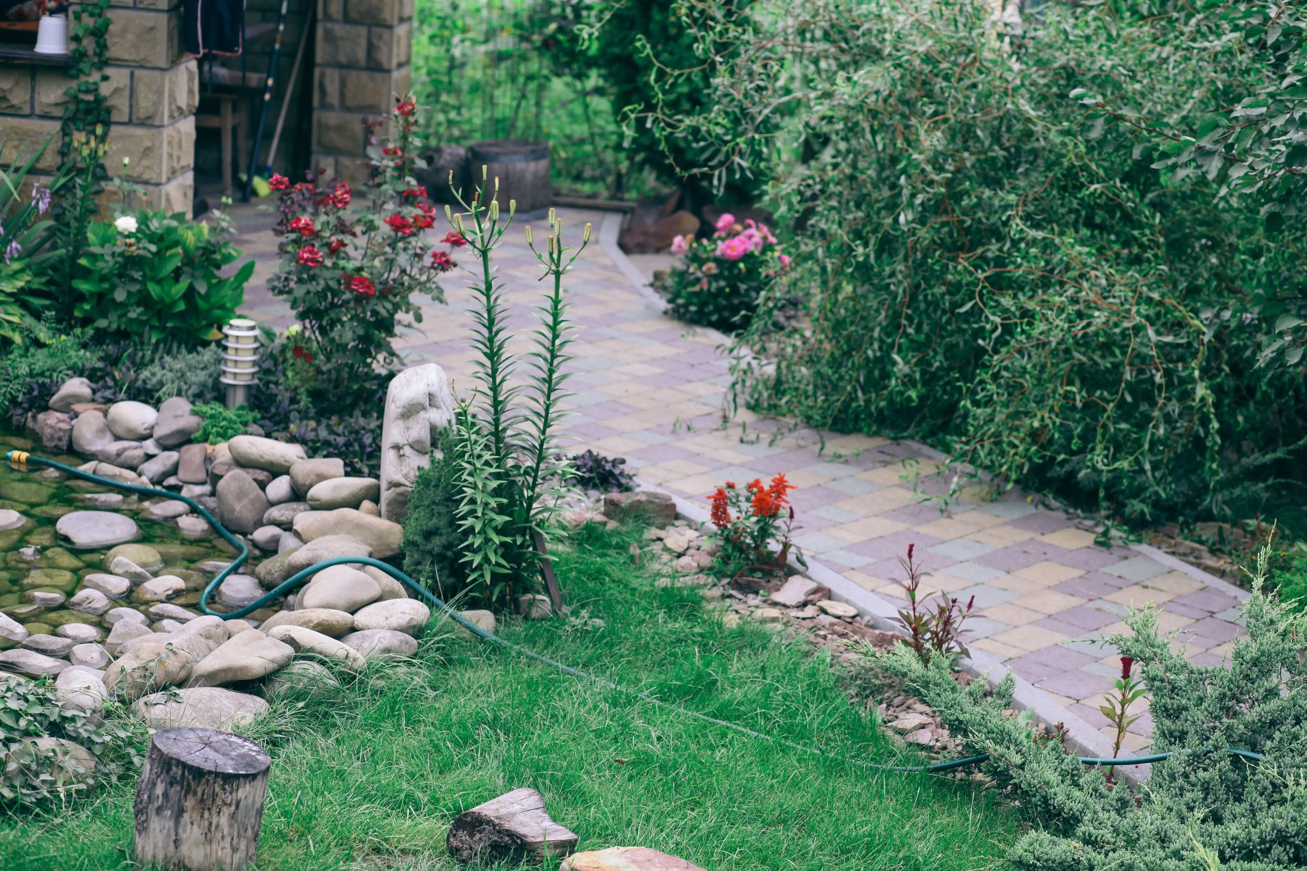 Colorful garden path with interlocking bricks winds through lush greenery, flowers, and rock features in a landscaped yard.