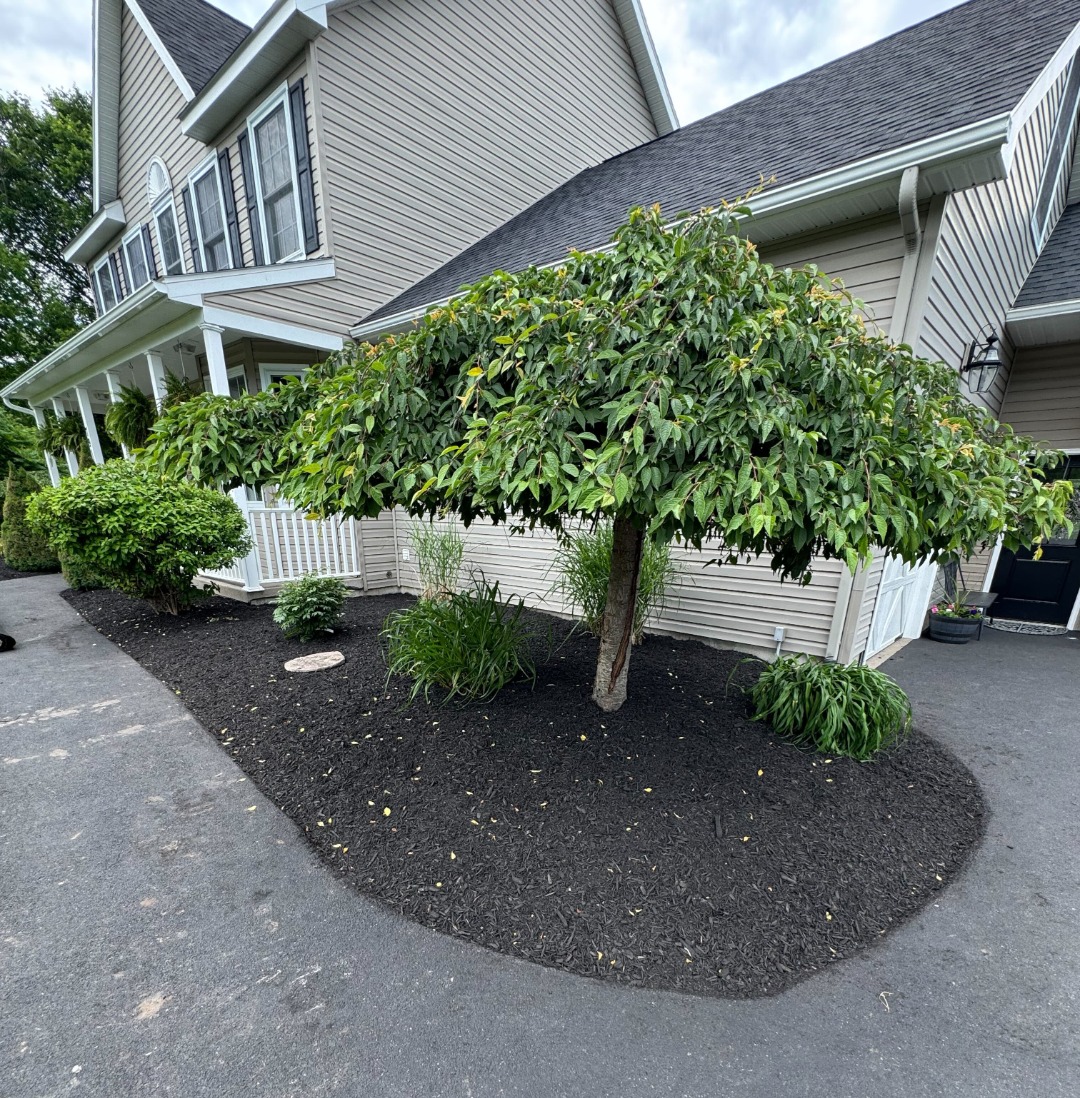 best mulching for yards in Westmoreland, Utica, and Rome, NY