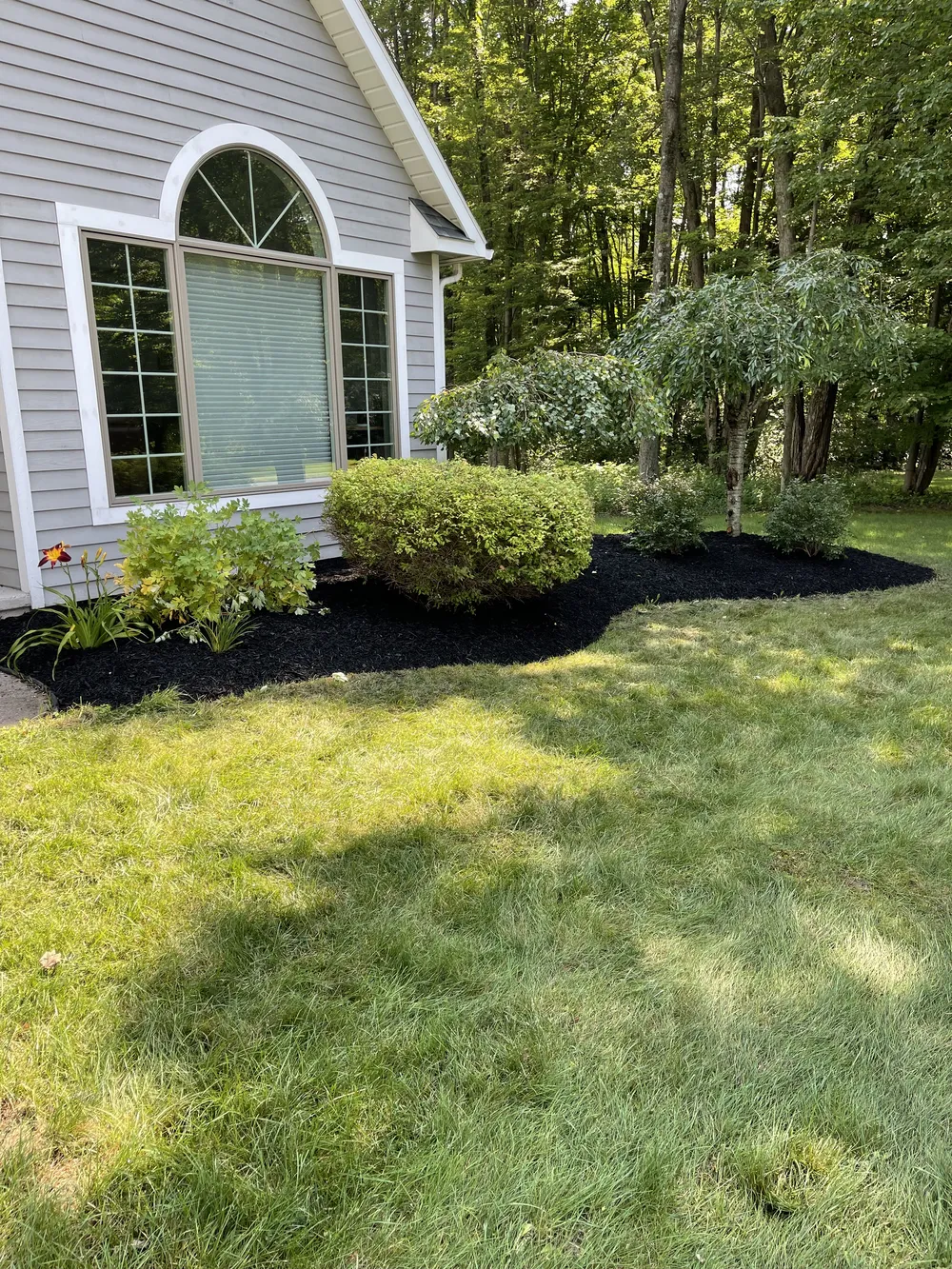 Landscaping with fresh black mulch around shrubs and a small ornamental tree beside a gray house and green lawn.