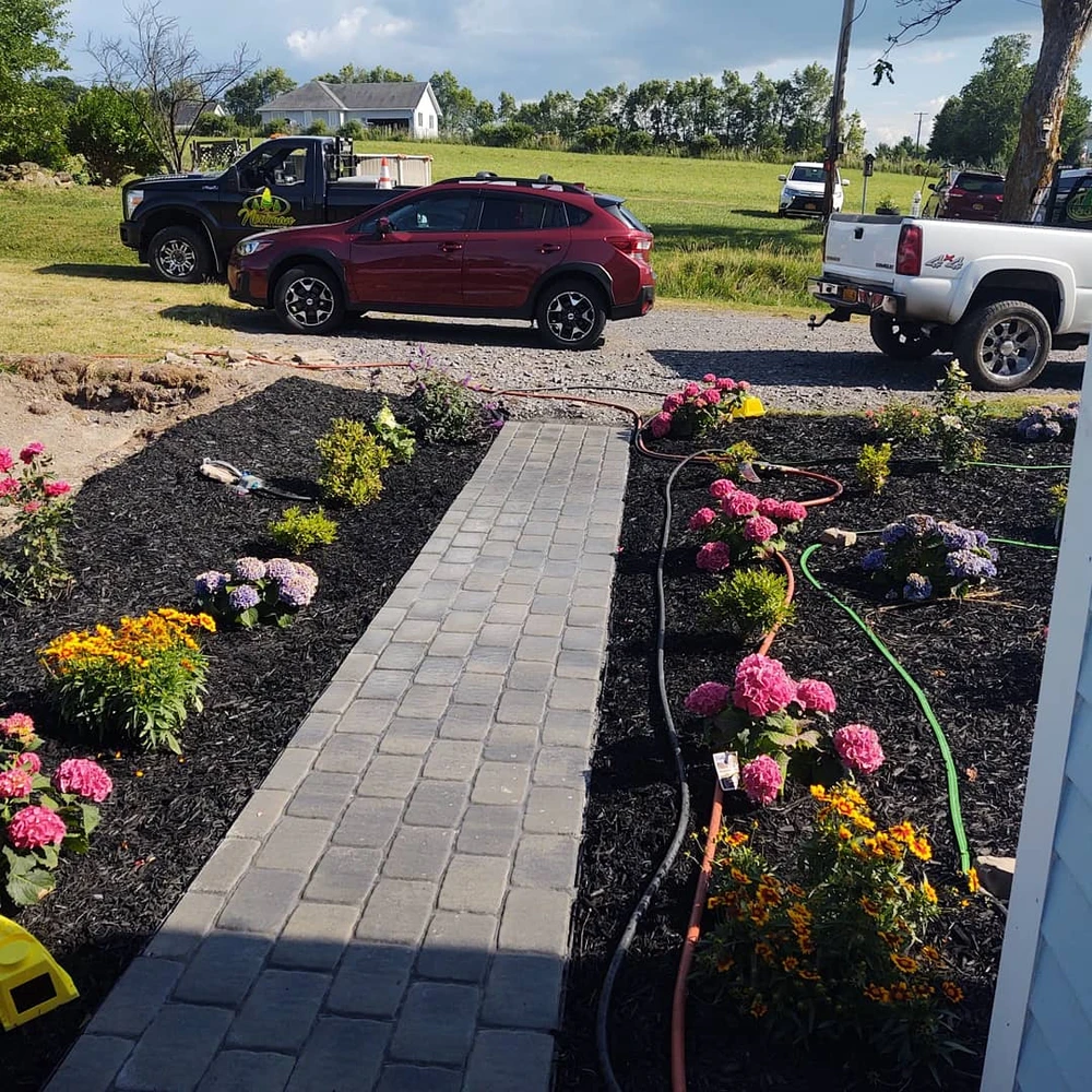 Landscaping with a new paver walkway, black mulch beds, and blooming hydrangeas and marigolds at a country home.
