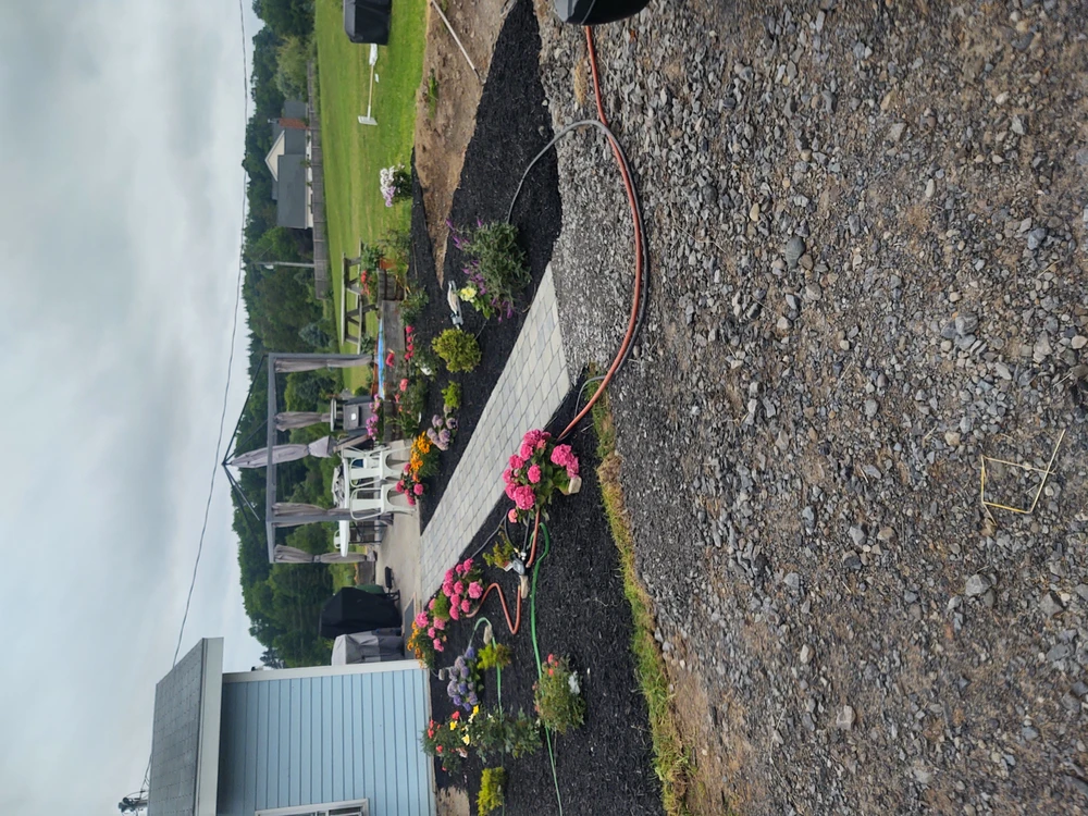 Spring landscaping defines new garden beds with fresh mulch, flowers, and a paved path near an outdoor patio.